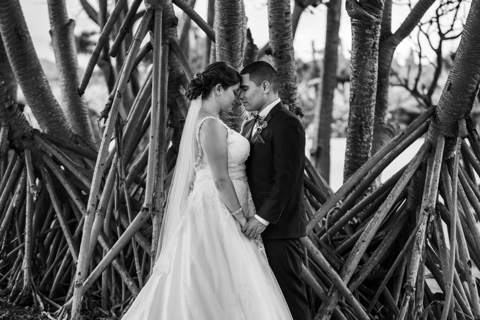 Maui-Tropical-Plantation-Wedding-012
